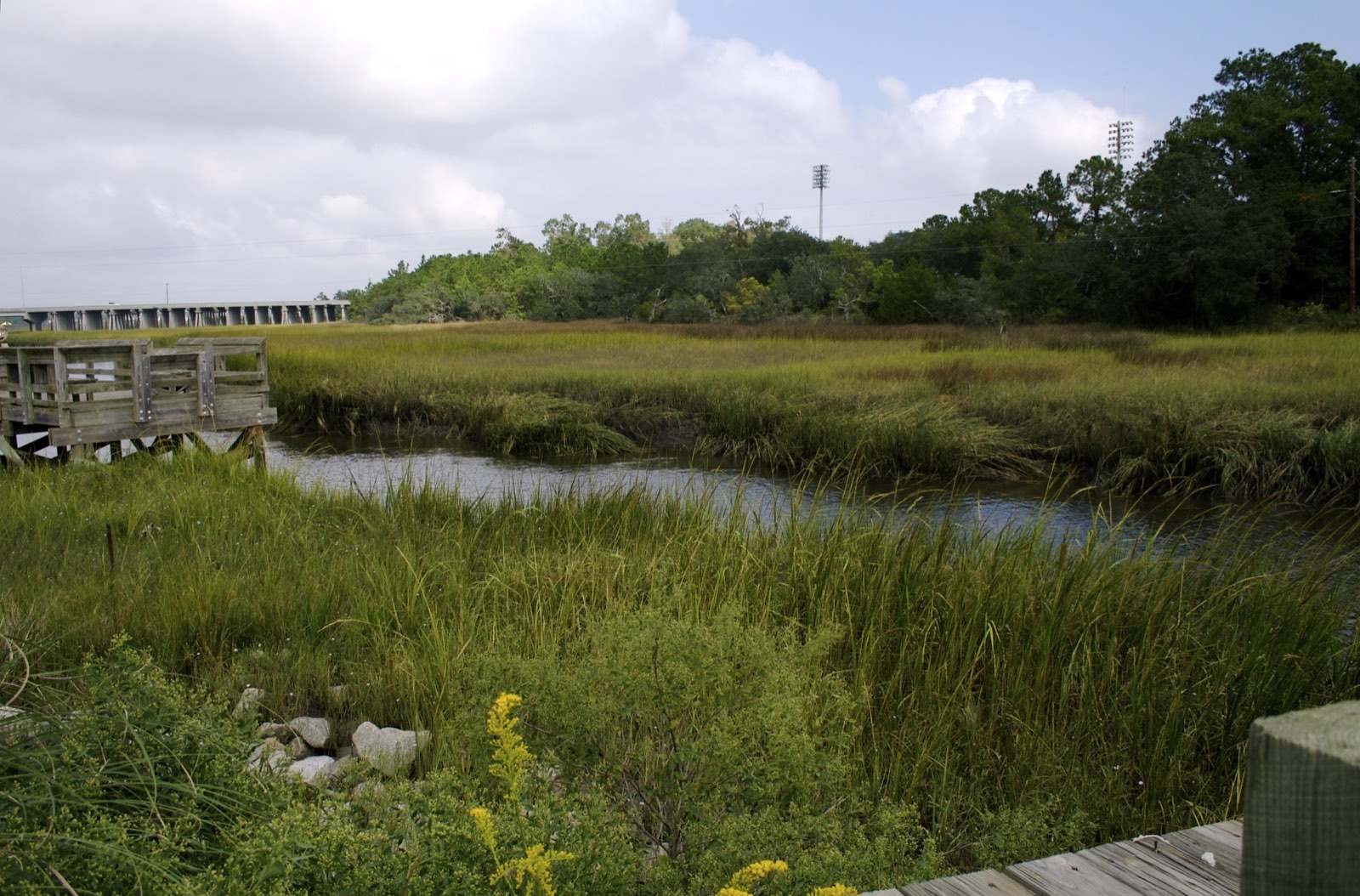 Tidal salt marsh and creek along Daniel Island, Charleston SC