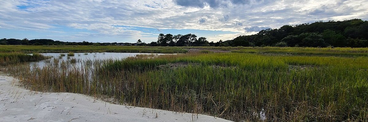 Mount Pleasant neighborhoods and golf-community streets near Snee Farm