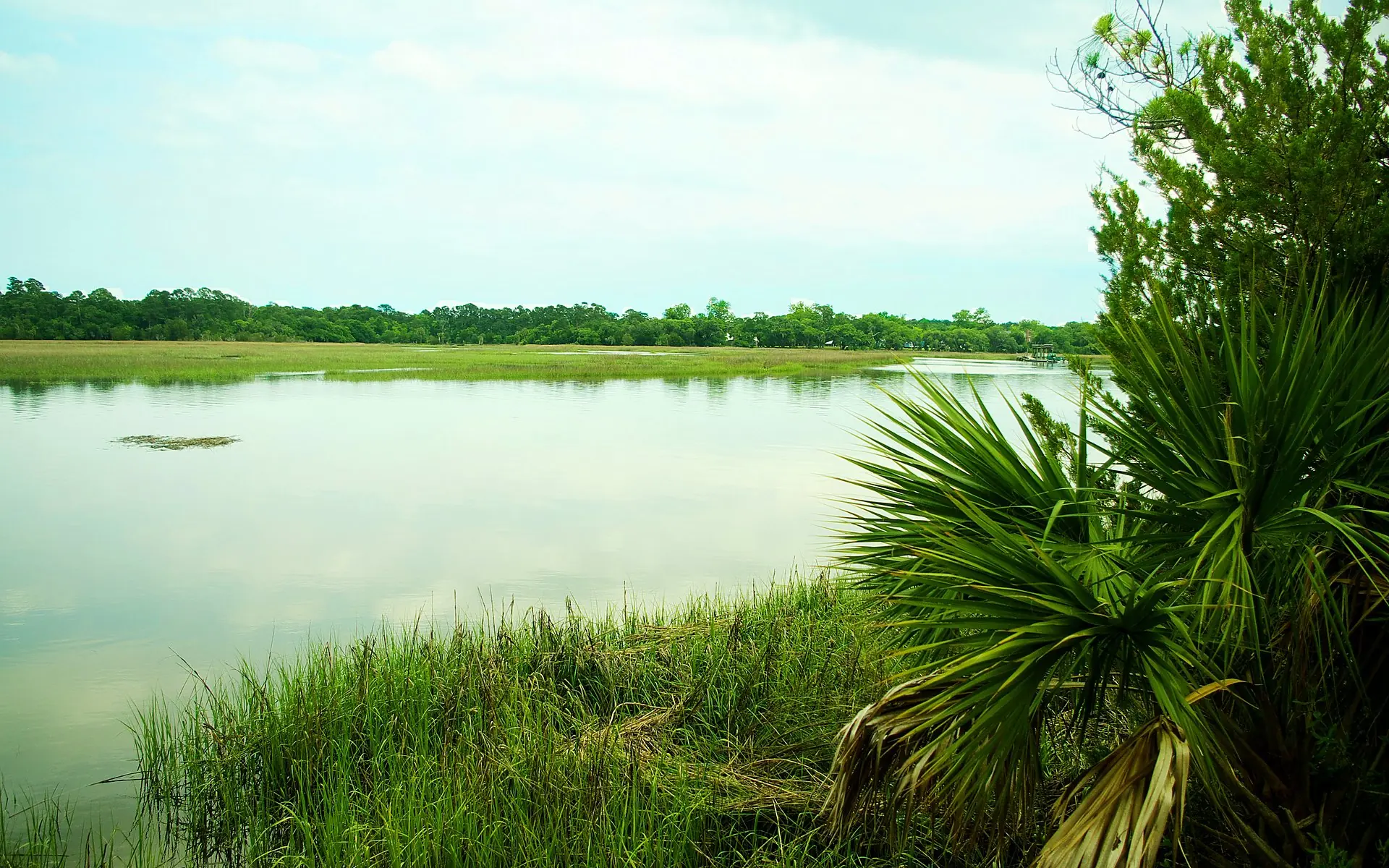 Hobcaw Point marsh and Wando River waterfront