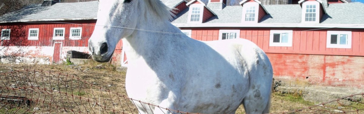 Horse and ranch property near Charleston SC