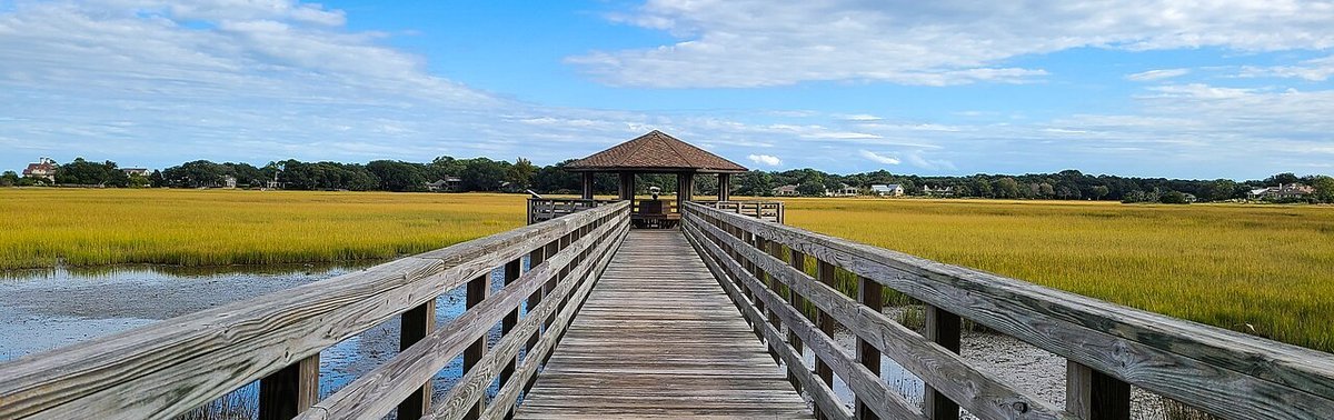 I'On Mount Pleasant SC neighborhood