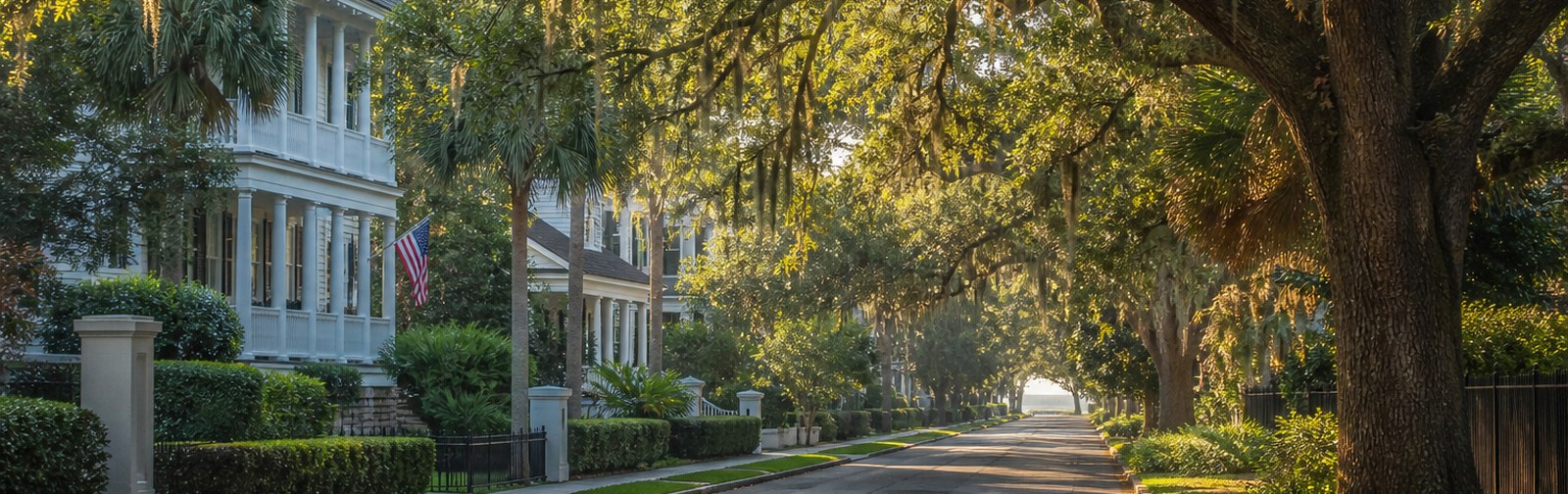 Live-oak canopy over a Mount Pleasant SC neighborhood street before the school year starts