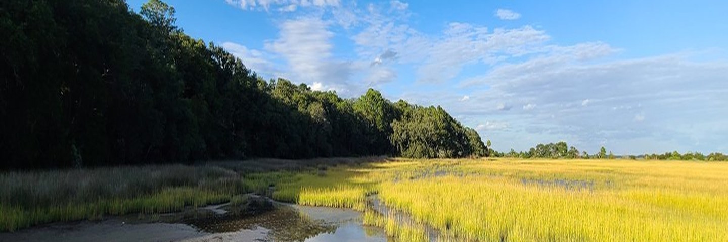 Lowcountry marsh and rural acreage near Charleston SC where septic systems and paperwork-heavy homes decide the deal