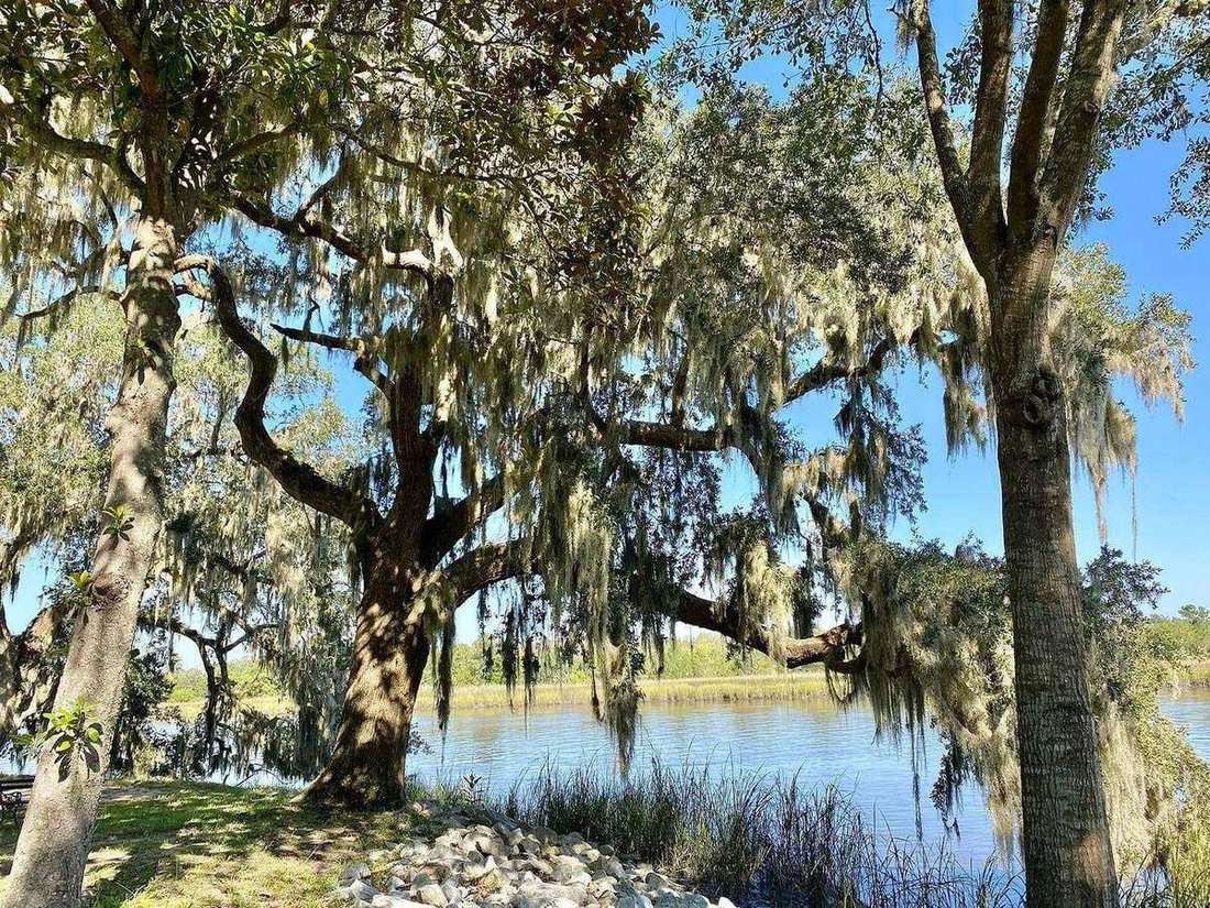 West Ashley neighborhoods benefiting from new park investment
