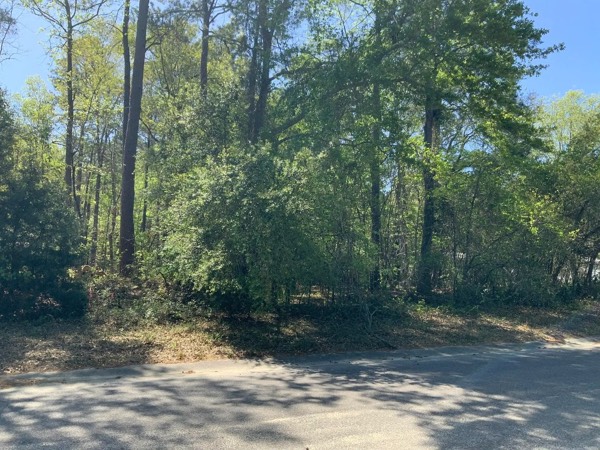 0 Ash Hill Drive, Eutawville SC wooded lot